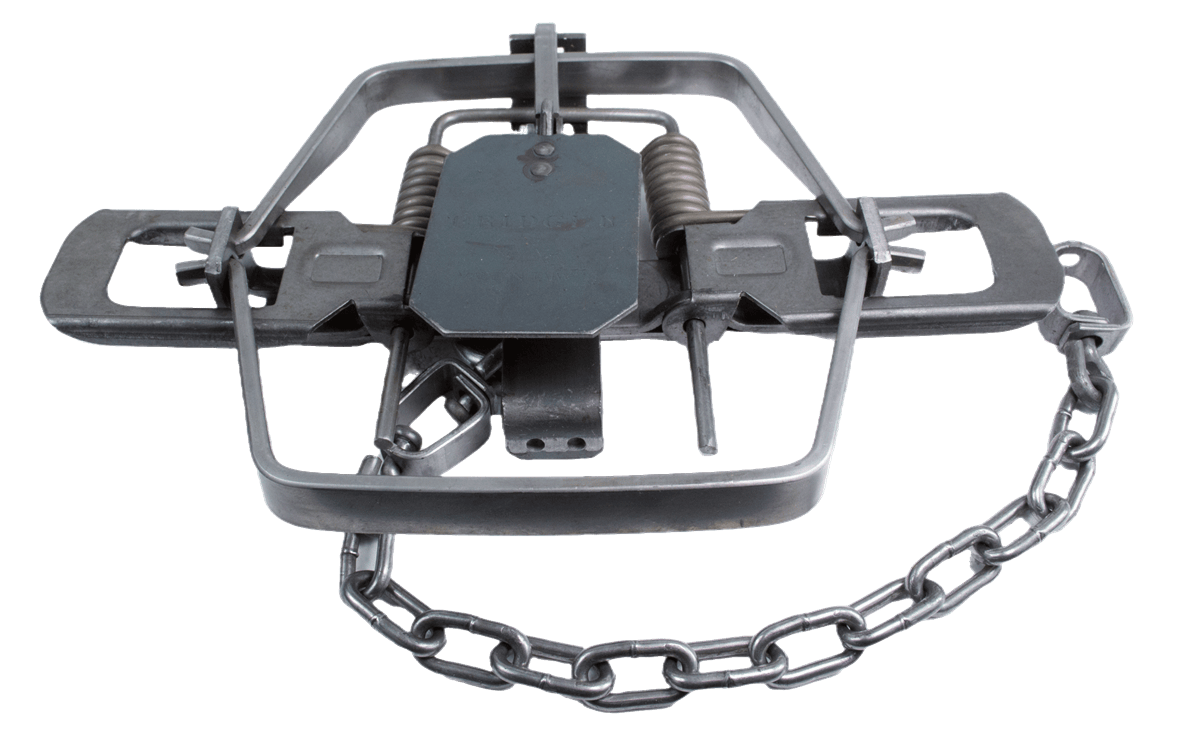 3 Bridger #2 Dogless OS Coil Spring Traps - For Coyote, Bobcat, Fox - Survival/Trapping