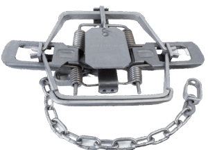 Bridger #3 Offset Jaw Modified Coil Spring Trap with chain, springs, and a center rectangular pressure plate.