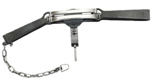 Bridger #4 Long Spring Offset Jaw Trap features two jaws, a central spring mechanism, and an attached chain.