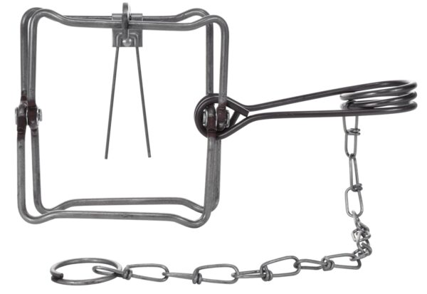 Bridger #110 Body Grip Trap with square frame, spring mechanism, and attached chain.