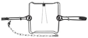 Bridger #330 Body Grip Trap: square frame, coiled springs, attached chain for effective animal trapping.