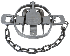 Bridger #1-1/2 Offset Jaw Coil Spring Trap with chain, labeled "Bridger No. 1.