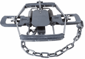 A Bridger #3 Rubber Jaw Coil Spring Trap with chain for safe animal capture.