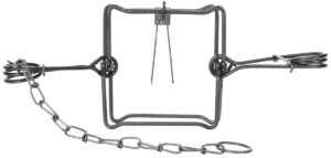 Bridger #155 Body Grip Trap: Metal animal trap with a rectangular frame, coiled springs, and chain on white background.