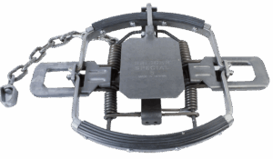 Bridger #5 Rubber Jaw Coil Spring Trap with chain, "Made in Taiwan," features springs and rubber jaw clamp.