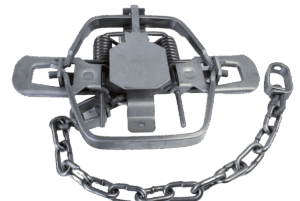The Bridger #1-3/4 Trap has hinged jaws and a chain for effective wildlife capture.