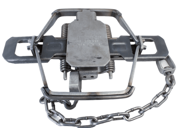 Bridger #2DOGLESS Offset Jaw MODIFIED Four Coil Trap, showcased with springs and chain on a plain white background.