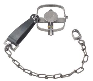 A Duke #1 Regular Jaw Long Spring Trap features a rectangular plate, spring mechanism, and a chain with a swivel link.