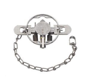 Duke #1-1/2 Double Jaw Coil Spring Trap with circular jaw, twin springs, and durable metal chain.