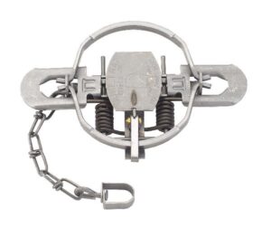 Duke #1-3/4 Offset Jaw Coil Spring Trap with chain, displayed open on white background.