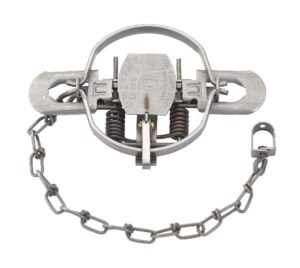 Duke #2 Trap: Regular jaw, coil spring mechanism, metal chain with loop end.