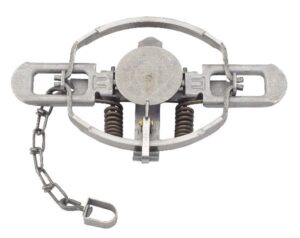 The Duke #3 Offset Jaw Coil Spring Trap has a circular jaw, two springs, and an attached chain.