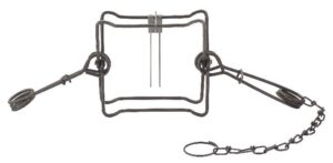 Duke #220 Body Trap: Metal with a rectangular frame, coiled springs, and looped handle.