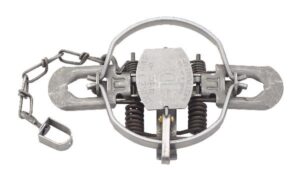 Duke #1-3/4 Regular Jaw 4-Coiled Coil Spring Trap, circular frame & chain, ideal for small/medium-sized captures.
