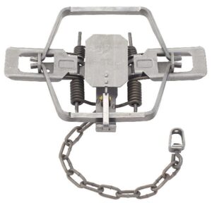 Duke #4 Offset Jaw 4-Coiled Trap: Steel trap with dual jaws, spring mechanism, and securing chain.