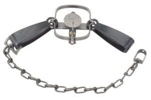 Duke #11 Regular Jaw Long Spring Trap with two jaws, a spring-loaded mechanism, and a securing chain.