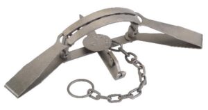 Duke #16 Bear Trap: Metal trap with chain, ring, and central trigger.