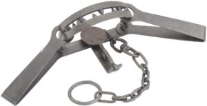 Duke #15 Long Spring Bear Trap - With spring jaws, chain & ring | Murrays Lures.