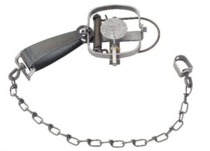 Duke #1 Long Spring Guard Trap: A muskrat trap with a long chain and spring, perfect for wildlife capturing.