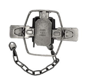 Duke #2 Dogless Trap, 4 Coil Offset Jaws with chain and latch, "Duke No. 1/2.