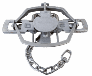 The MB 550 RC OS Coil Spring Trap includes a chain, spring mechanism, and two jaws for effective animal trapping.