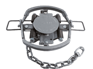 MB 650 OL Coil Spring Trap with metal springs, a round pressure plate, and an attached chain for securing.