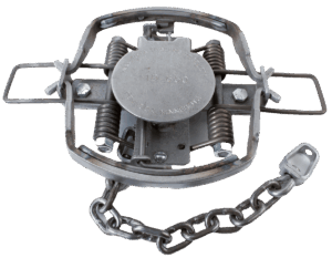MB650 IL Coil Spring Trap features jaws, springs, and a secure chain for effective animal trapping.