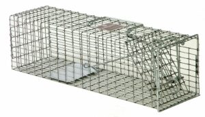 The Safeguard Box Trap #52818 is a rectangular cage trap with a spring-loaded door for humane live squirrel capture.