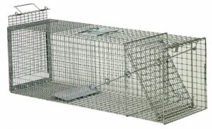 Safeguard Box Trap #52836 features a one-way entry door, ideal for live trapping.