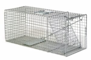 A Safeguard Professional Box Trap #53136 wire cage with a closed entry door for small animals sits on a white background.