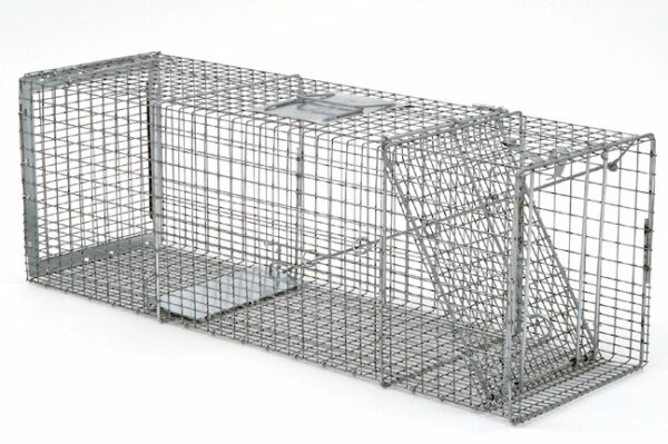 The Safeguard Professional Box Trap #54136 captures small wildlife humanely with a spring-loaded door.