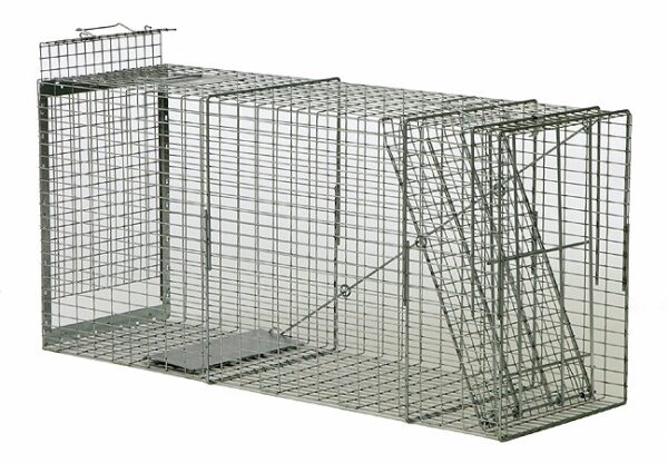 The Safeguard Box Trap #52860 safely captures small animals with its spring-loaded door.