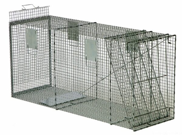 The Safeguard Box Trap #52872 features two compartments and a spring-loaded door for humane small animal capture.