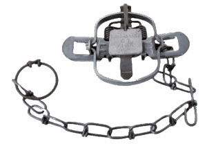 Wolf Creek #1 Eliminator Trap: metal animal trap with spring, chain, and foot restraint circle on a white background.