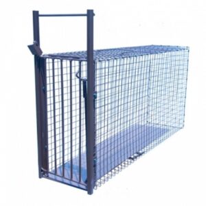 Norm Blackwell Cat Collector Cage Trap with a spring-loaded door, set empty against a white background.