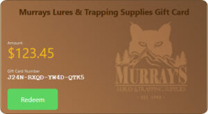 Gift Card with $123.45, card number J24N-RXQD-YW4D-QTK5, and a redeem button.