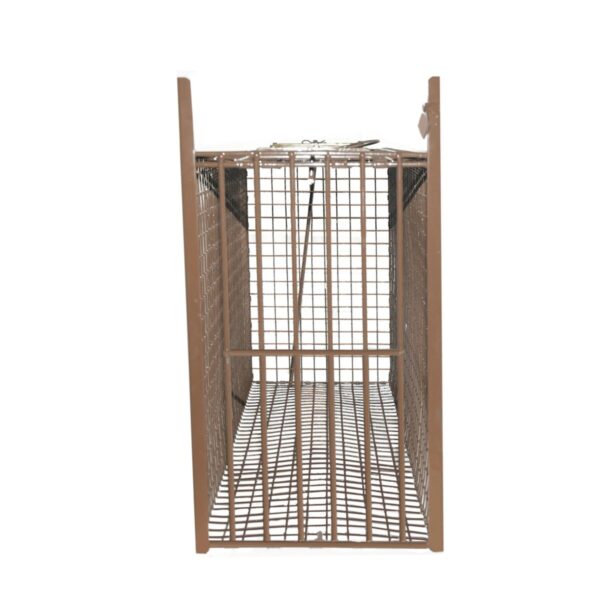 Z Trap Pro Bobcat Cage Trap - Image 5
