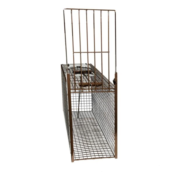 Z Trap Pro Bobcat Cage Trap - Image 4