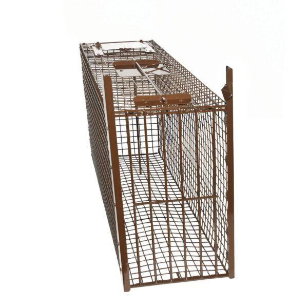 Z Trap Pro Bobcat Cage Trap - Image 3